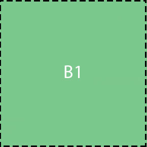 primer B1