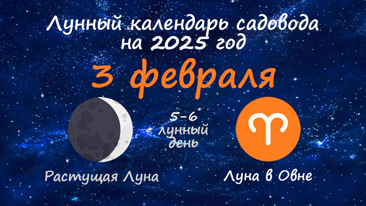 Лунный календарь садовода-огородника на 3 февраля 2025 года