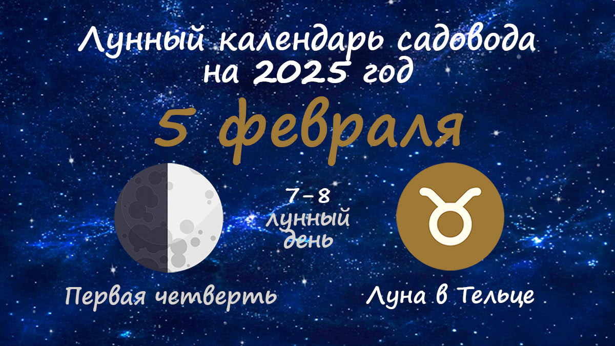 Лунный календарь садовода-огородника на 5 февраля 2025 года