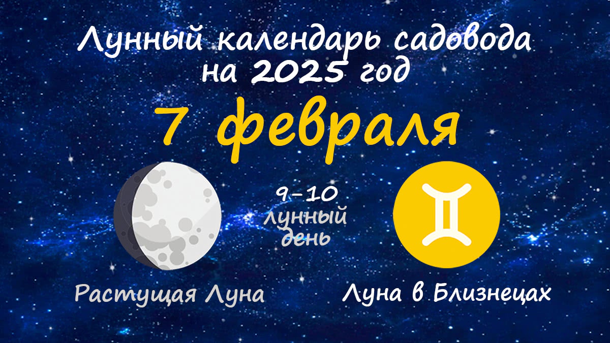 Лунный календарь садовода-огородника на 7 февраля 2025 года