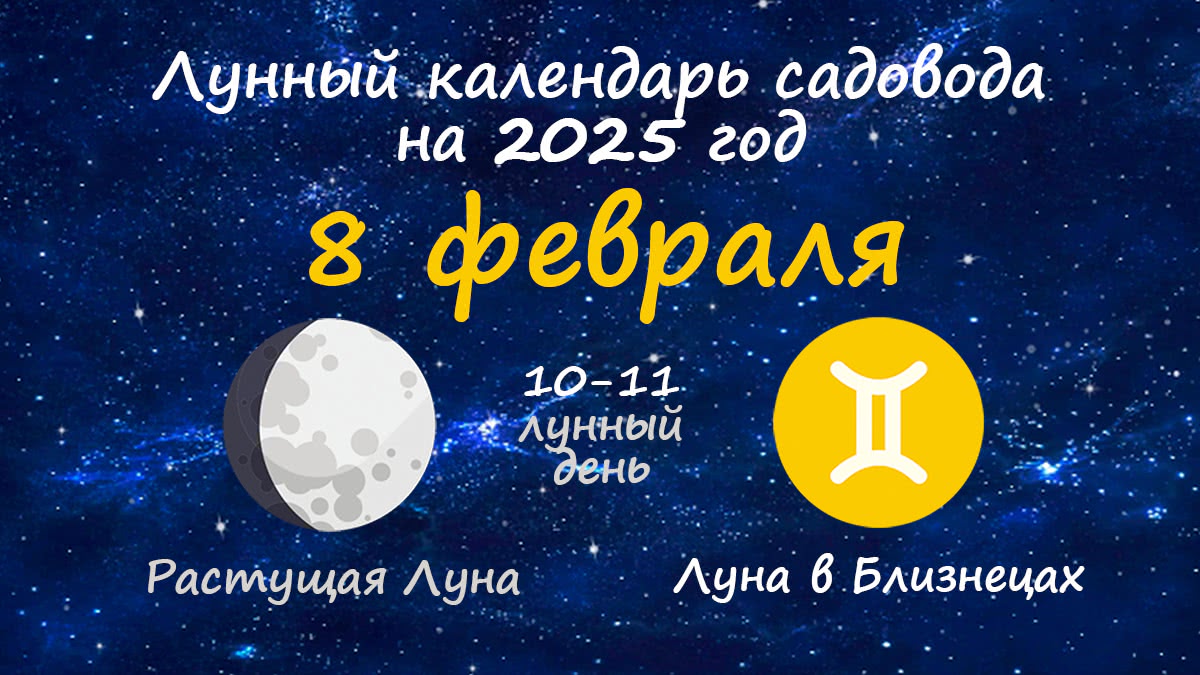 Лунный календарь садовода-огородника на 8 февраля 2025 года