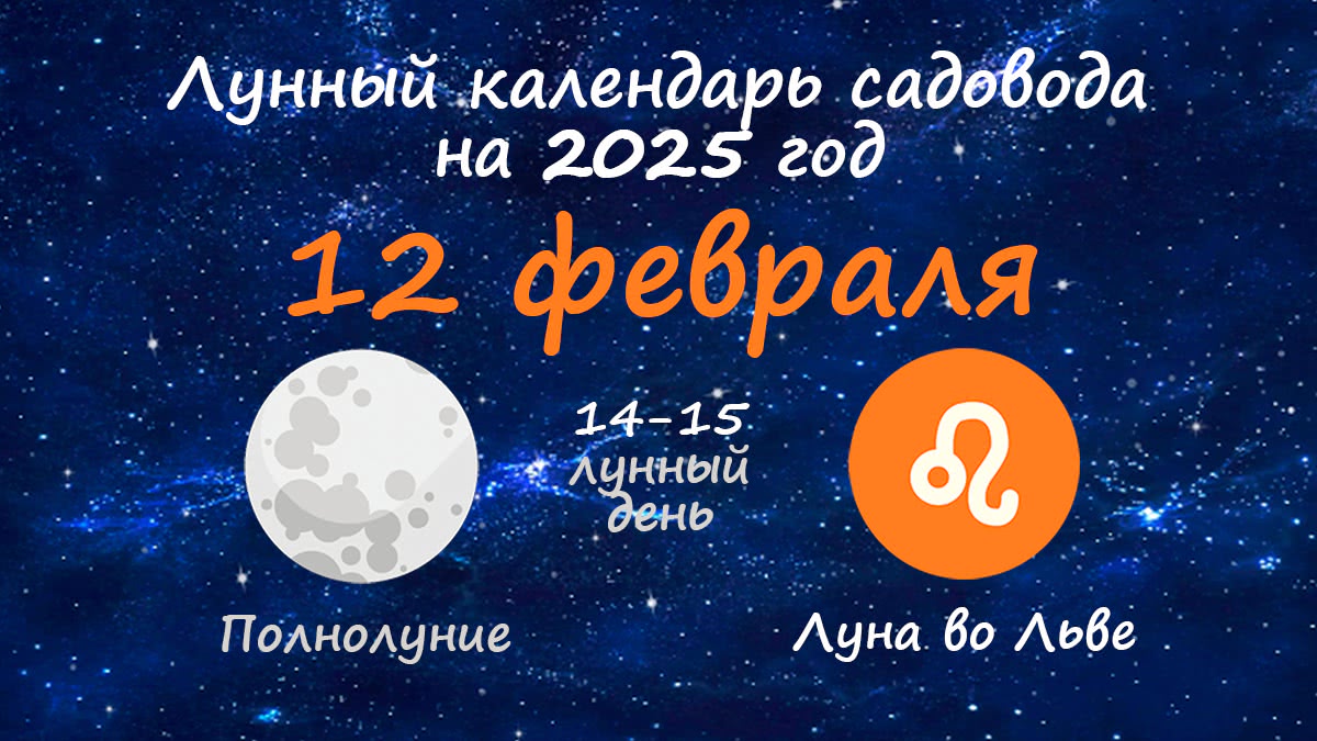 Лунный календарь садовода-огородника на 12 февраля 2025 года