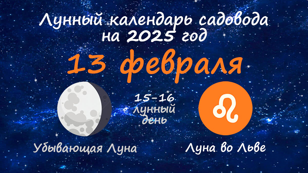 Лунный календарь садовода-огородника на 13 февраля 2025 года