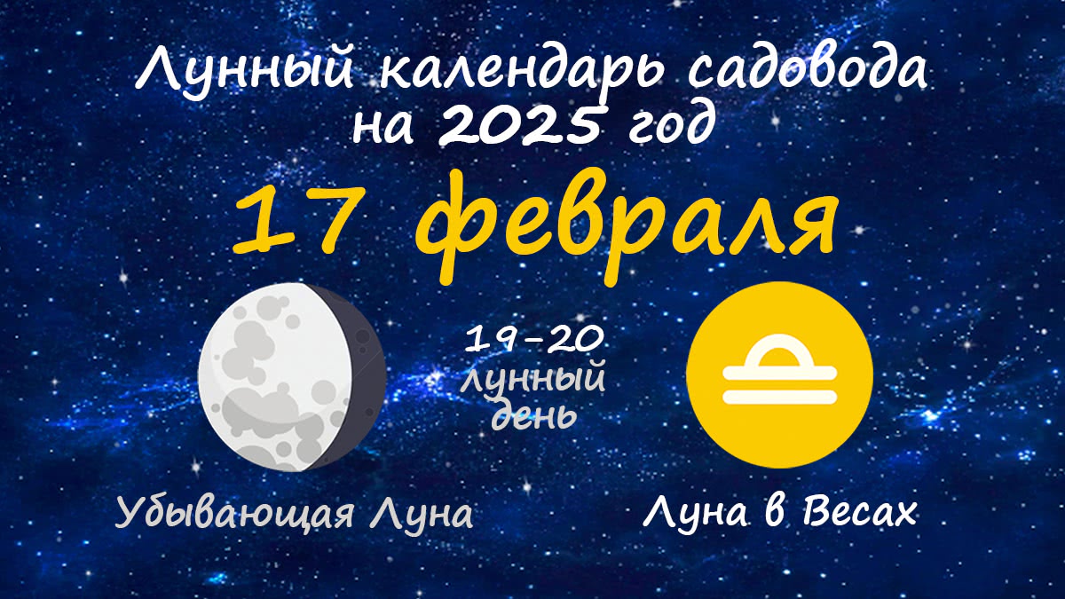 Лунный календарь садовода-огородника на 17 февраля 2025 года