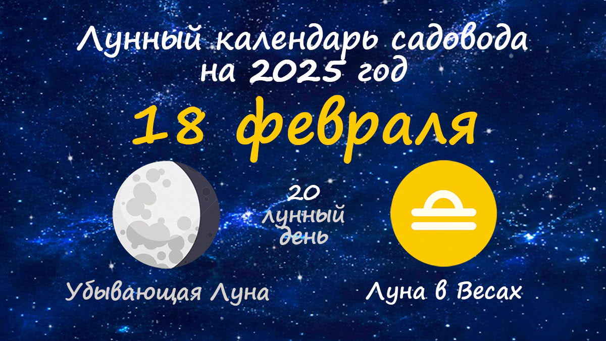 Лунный календарь садовода-огородника на 18 февраля 2025 года