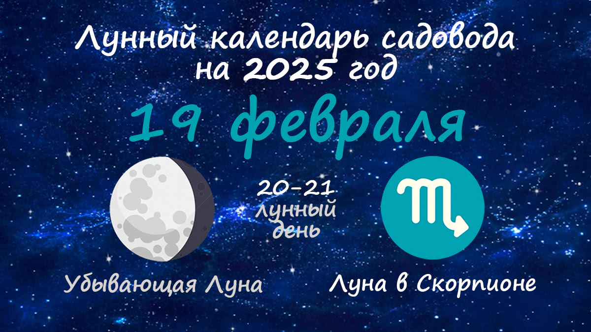 Лунный календарь садовода-огородника на 19 февраля 2025 года