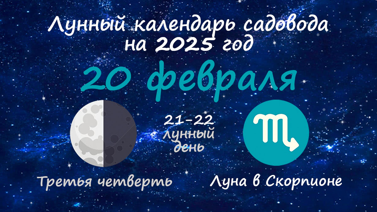 Лунный календарь садовода-огородника на 20 февраля 2025 года