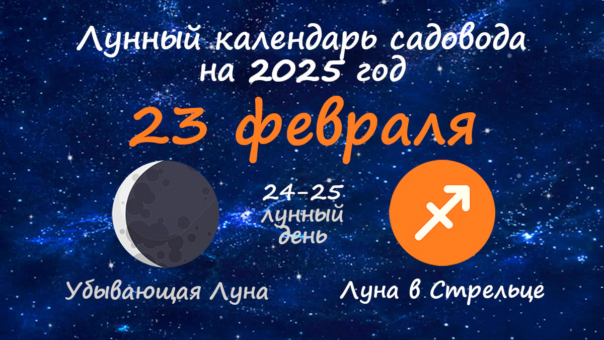 Лунный календарь садовода-огородника на 23 февраля 2025 года