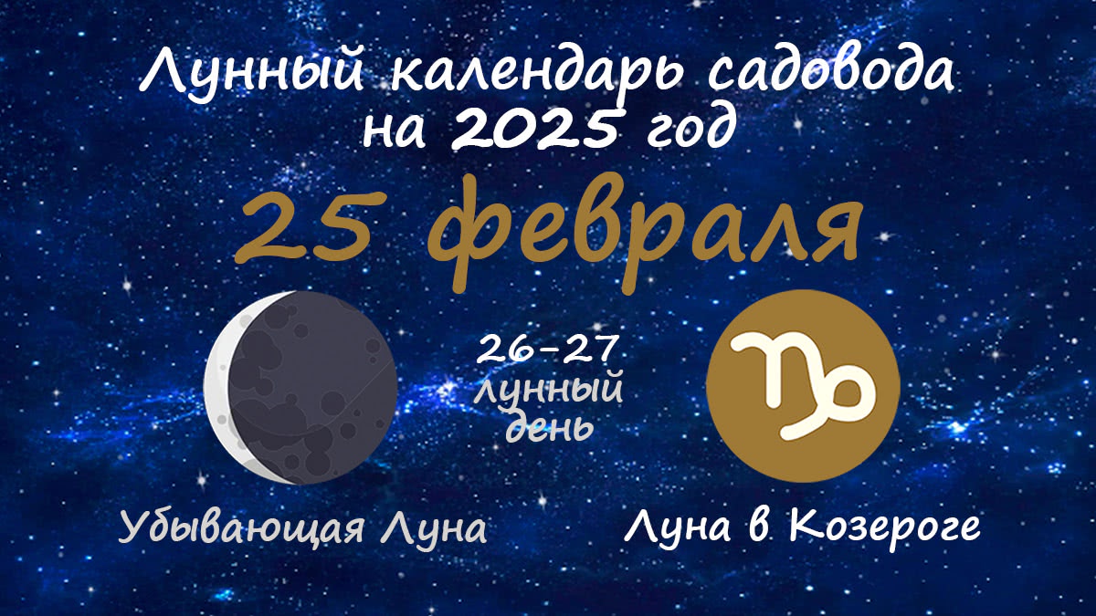 Лунный календарь садовода-огородника на 25 февраля 2025 года