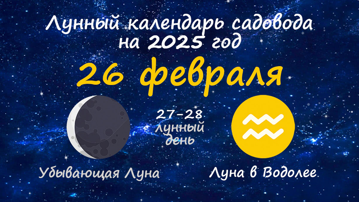 Лунный календарь садовода-огородника на 26 февраля 2025 года