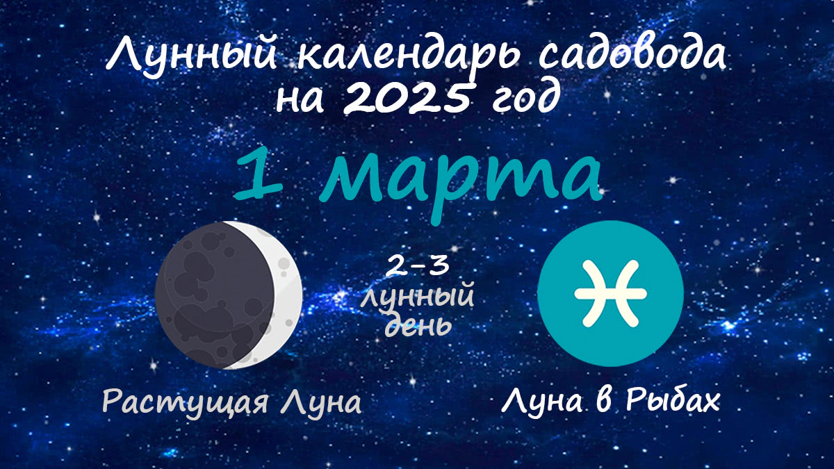 Лунный календарь садовода-огородника на 1 марта 2025 года