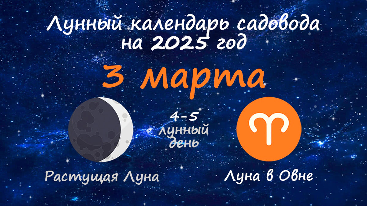 Лунный календарь садовода-огородника на 3 марта 2025 года