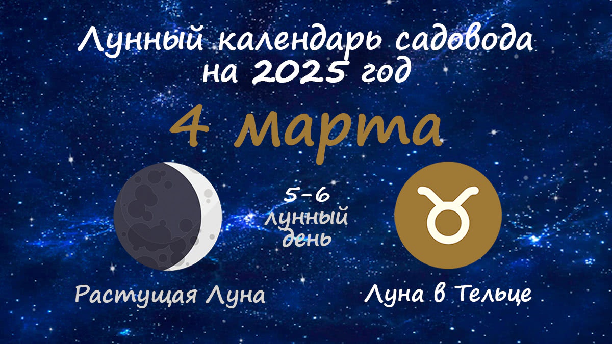 Лунный календарь садовода-огородника на 4 марта 2025 года