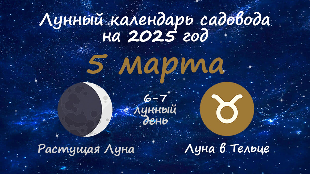 Лунный календарь садовода-огородника на 5 марта 2025 года