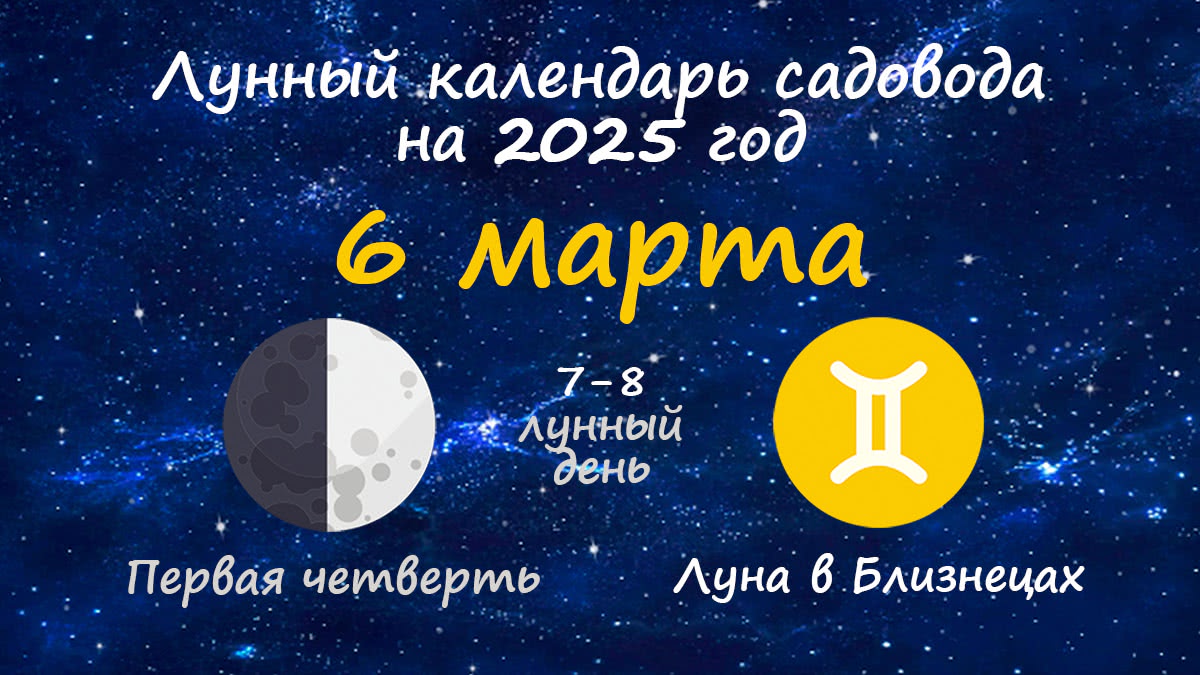Лунный календарь садовода-огородника на 6 марта 2025 года
