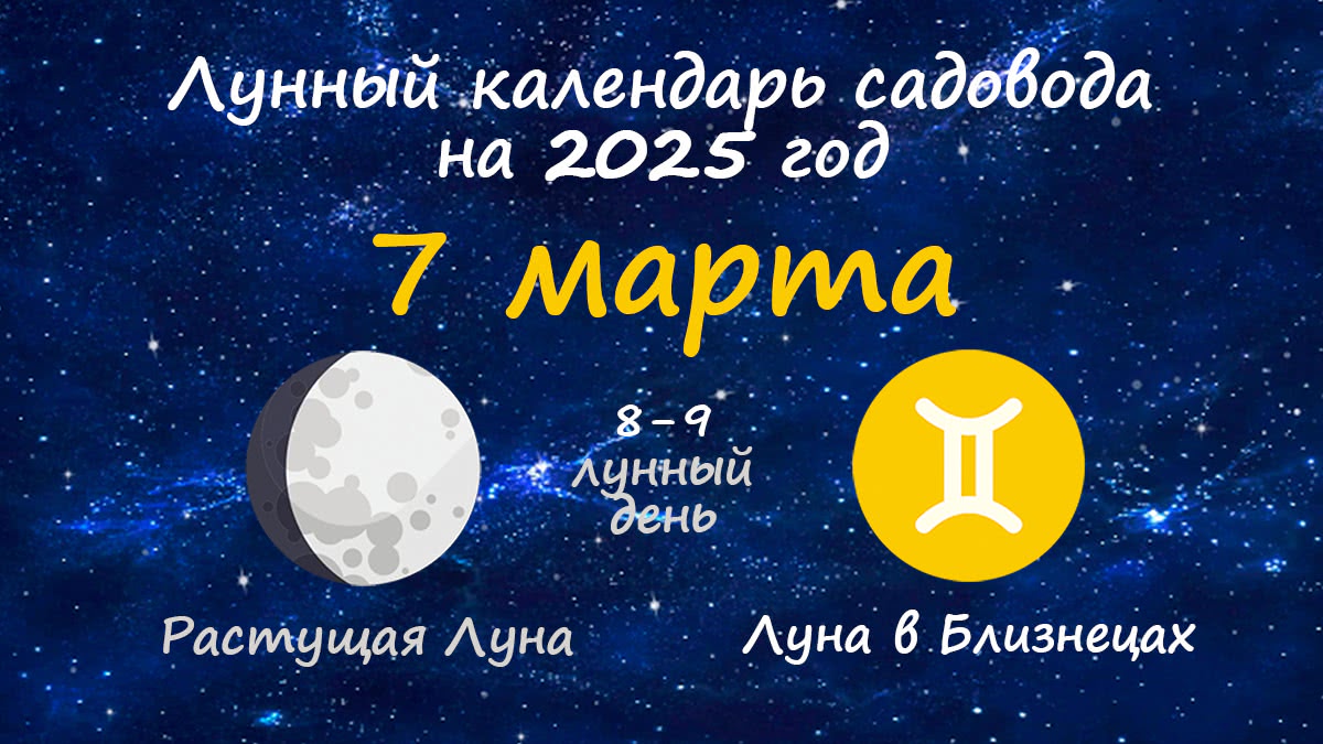Лунный календарь садовода-огородника на 7 марта 2025 года