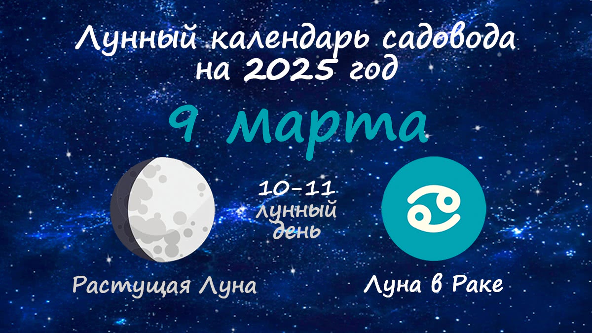 Лунный календарь садовода-огородника на 9 марта 2025 года