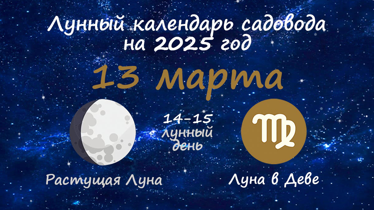 Лунный календарь садовода-огородника на 13 марта 2025 года