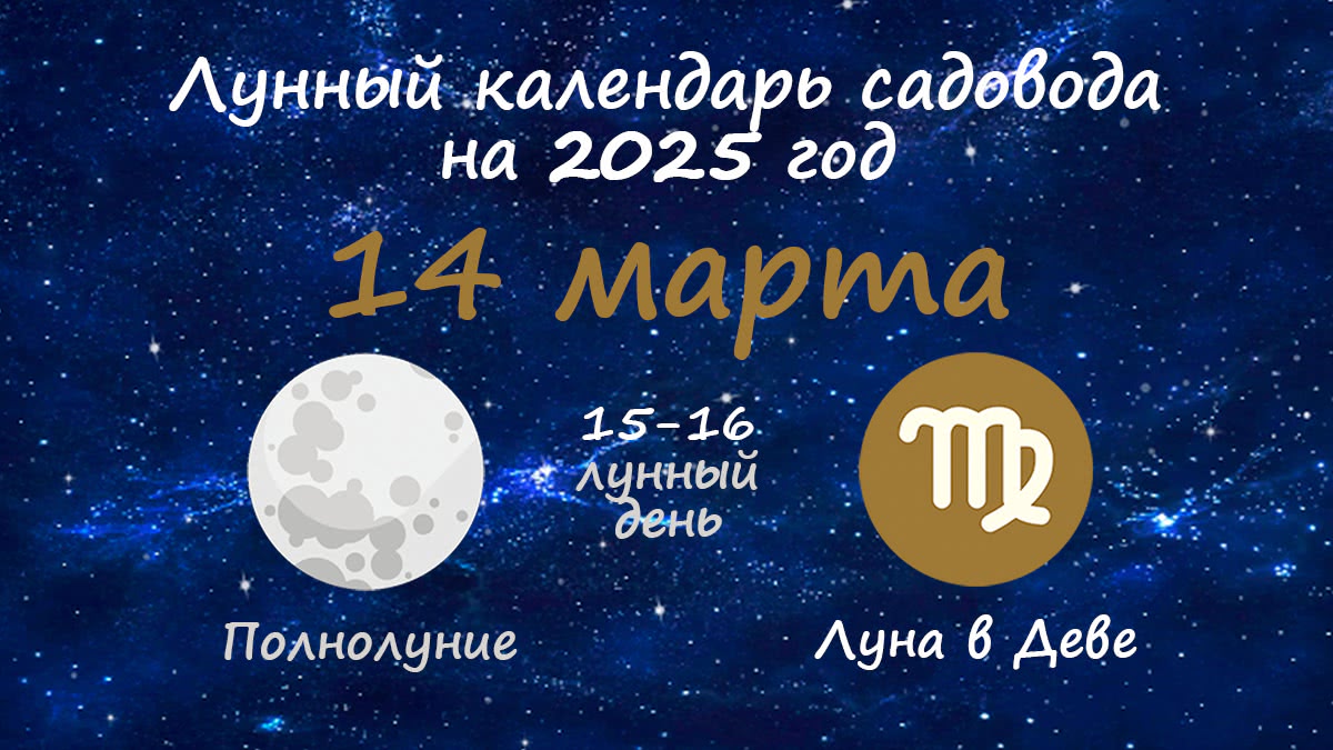 Лунный календарь садовода-огородника на 14 марта 2025 года