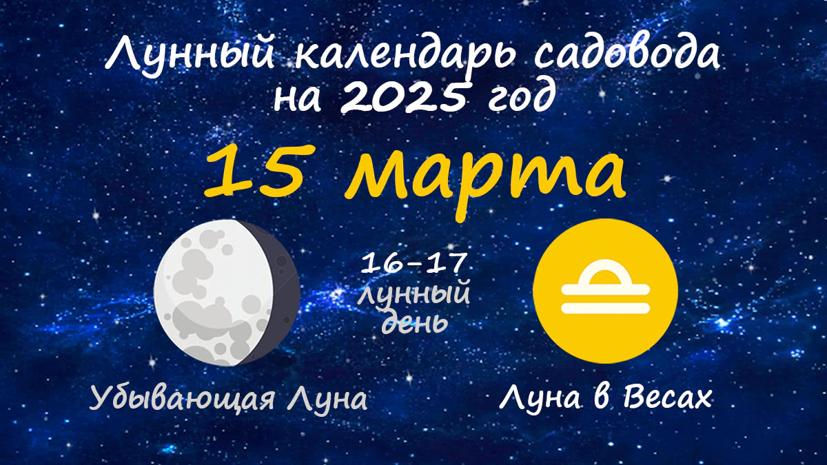 Лунный календарь садовода-огородника на 15 марта 2025 года