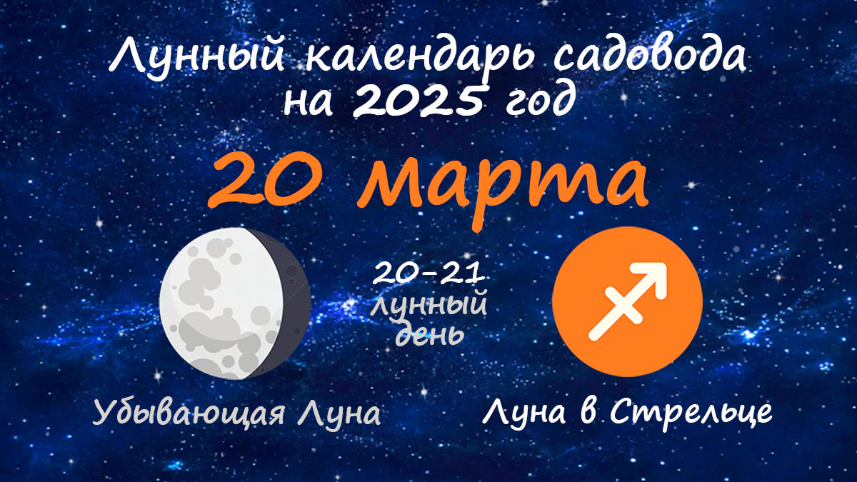 Лунный календарь садовода-огородника на 20 марта 2025 года