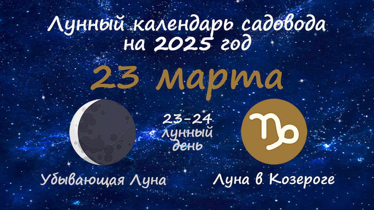 Лунный календарь садовода-огородника на 23 марта 2025 года