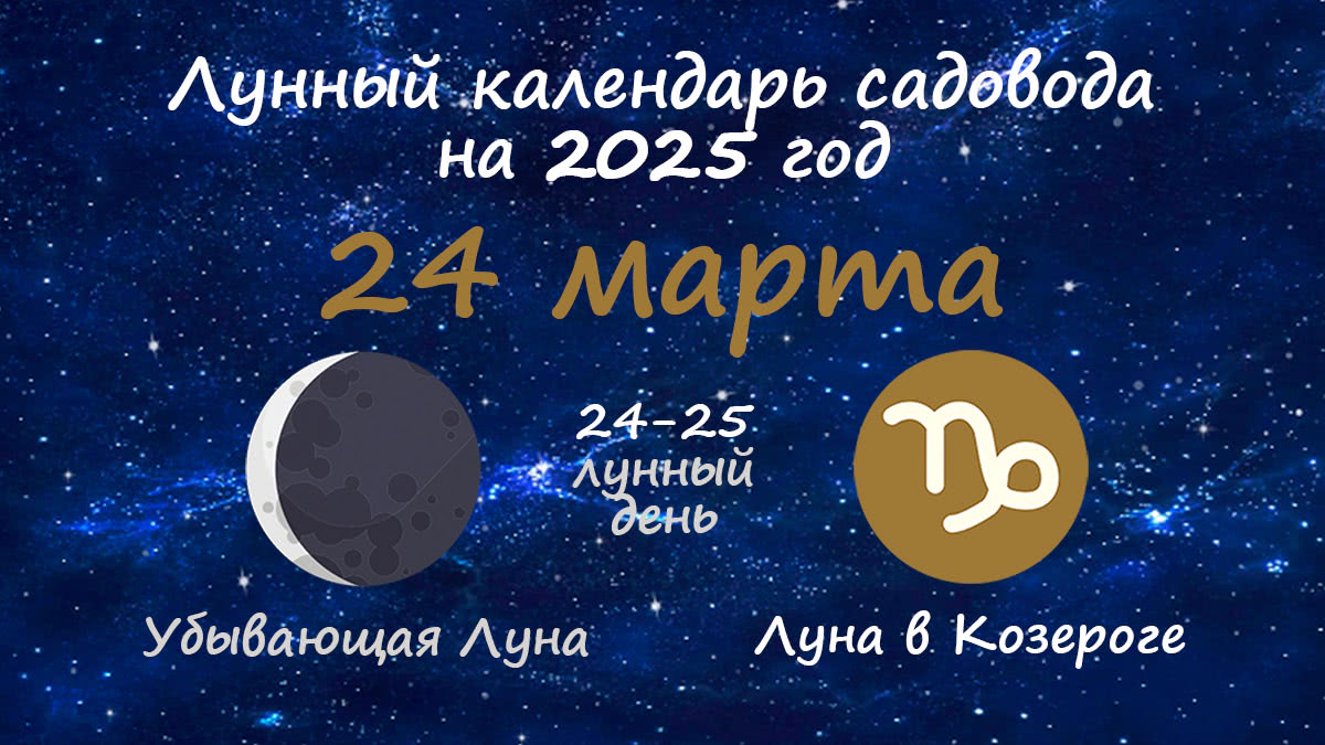 Лунный календарь садовода-огородника на 24 марта 2025 года