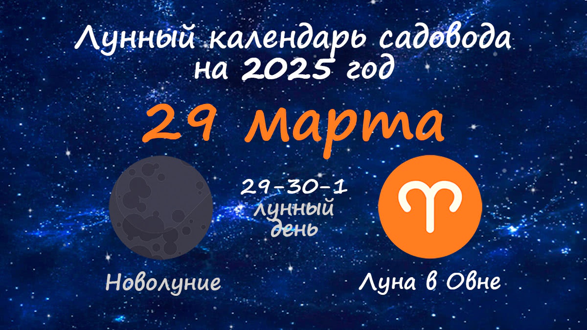 Лунный календарь садовода-огородника на 29 марта 2025 года