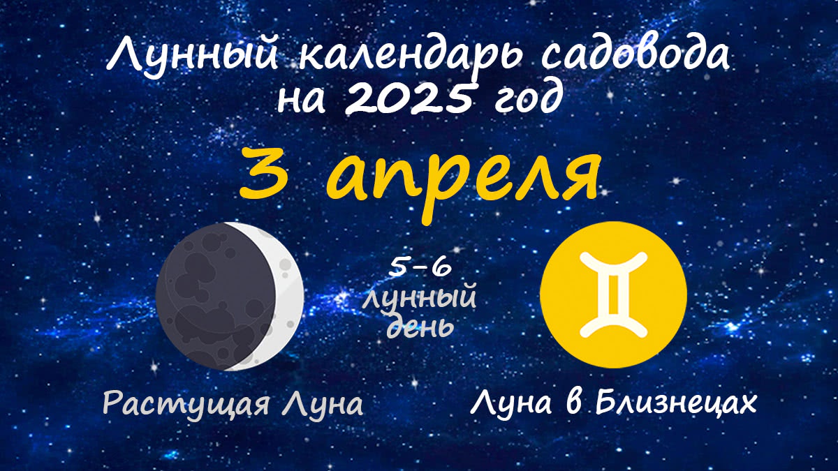 Лунный календарь садовода-огородника на 3 апреля 2025 года