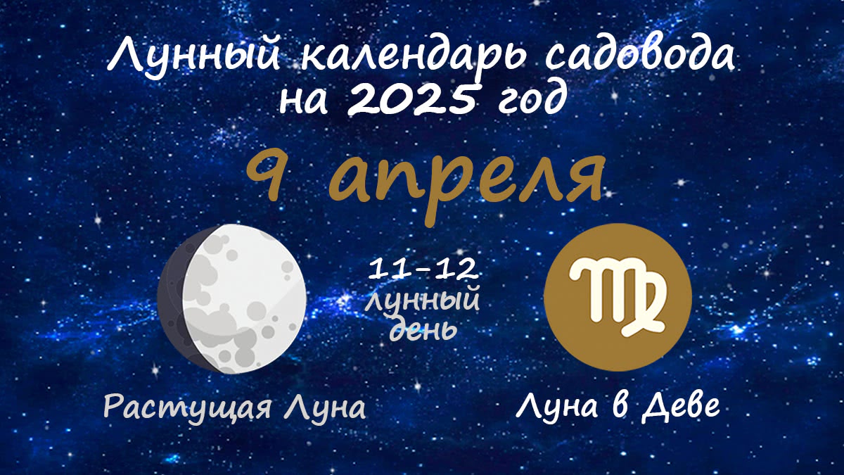 Лунный календарь садовода-огородника на 9 апреля 2025 года