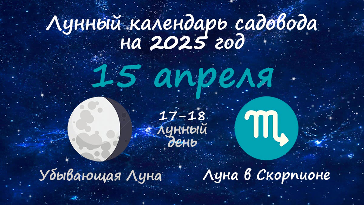 Лунный календарь садовода-огородника на 15 апреля 2025 года