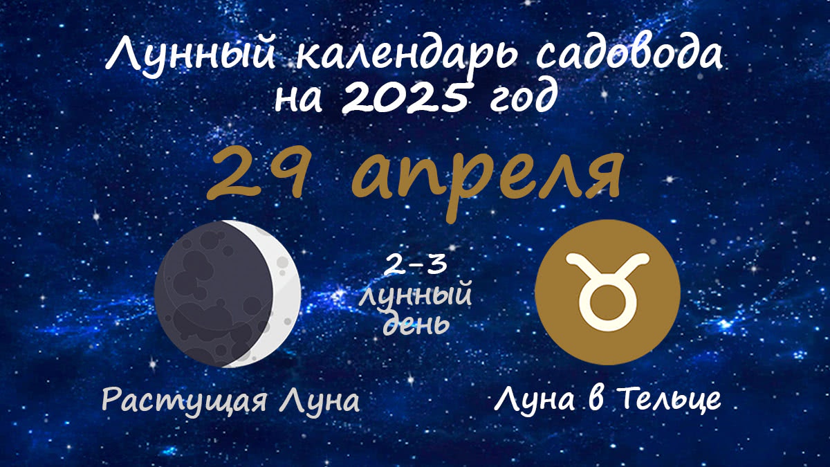 Лунный календарь садовода-огородника на 29 апреля 2025 года