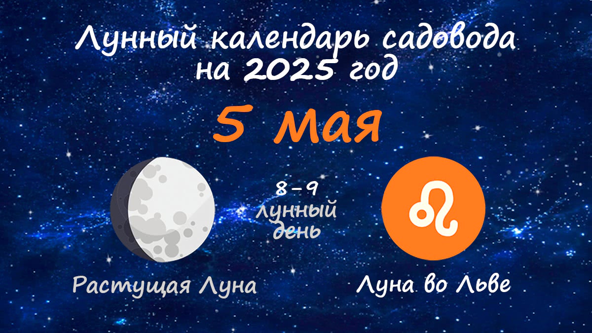 Лунный календарь садовода-огородника на 5 мая 2025 года