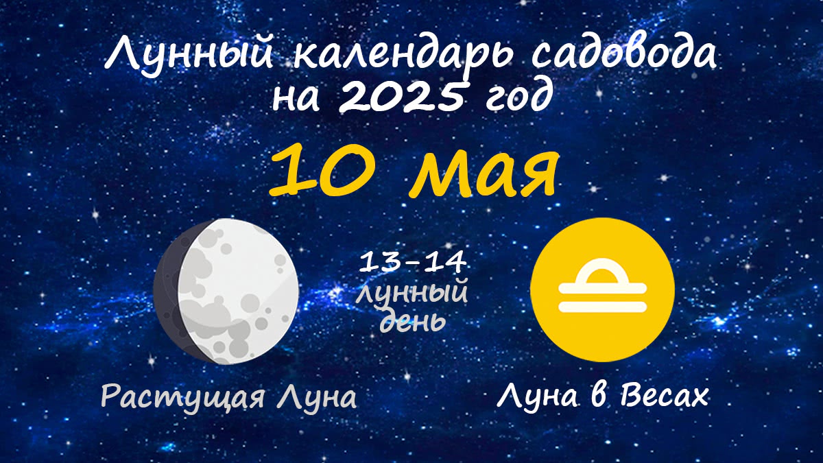 Лунный календарь садовода-огородника на 10 мая 2025 года
