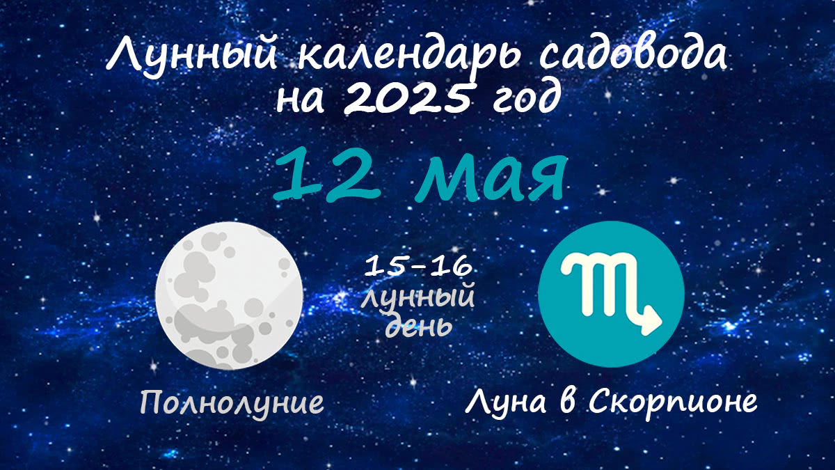 Лунный календарь садовода-огородника на 12 мая 2025 года