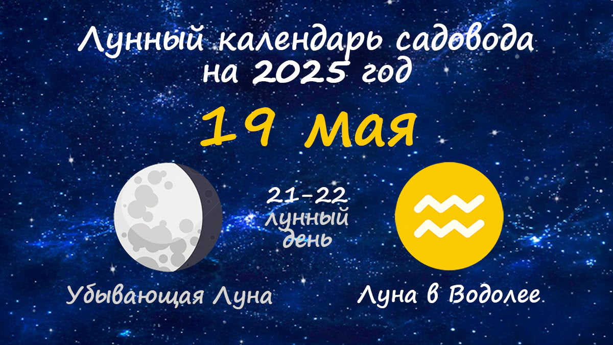 Лунный календарь садовода-огородника на 19 мая 2025 года