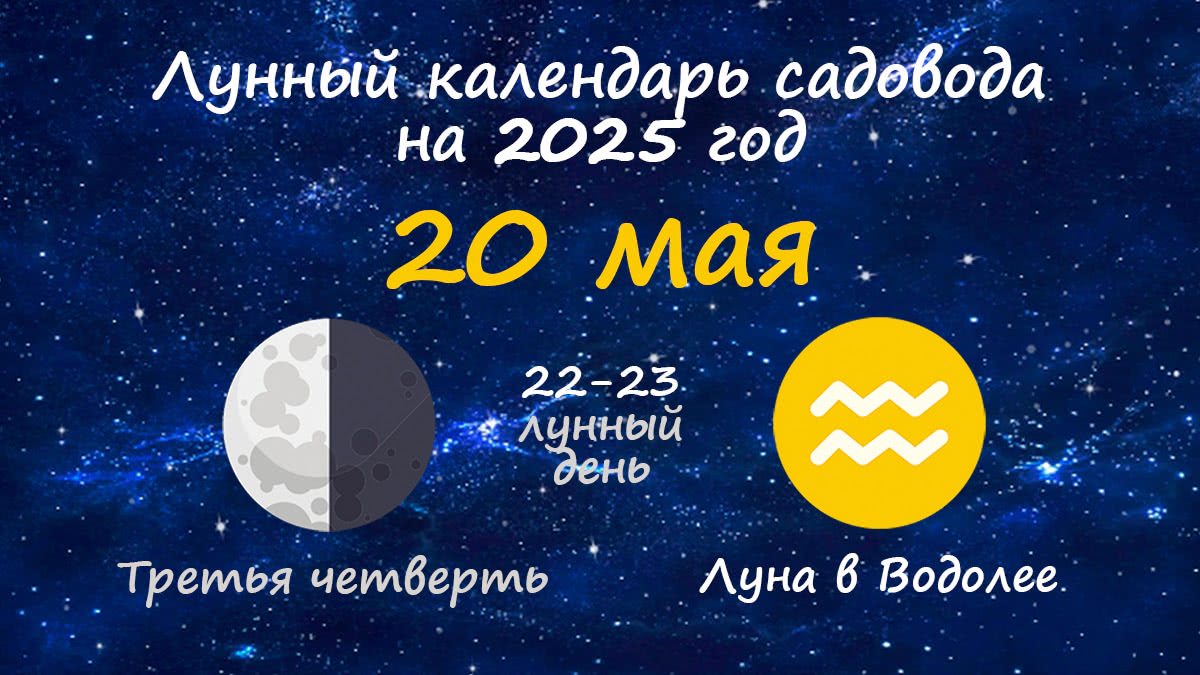 Лунный календарь садовода-огородника на 20 мая 2025 года