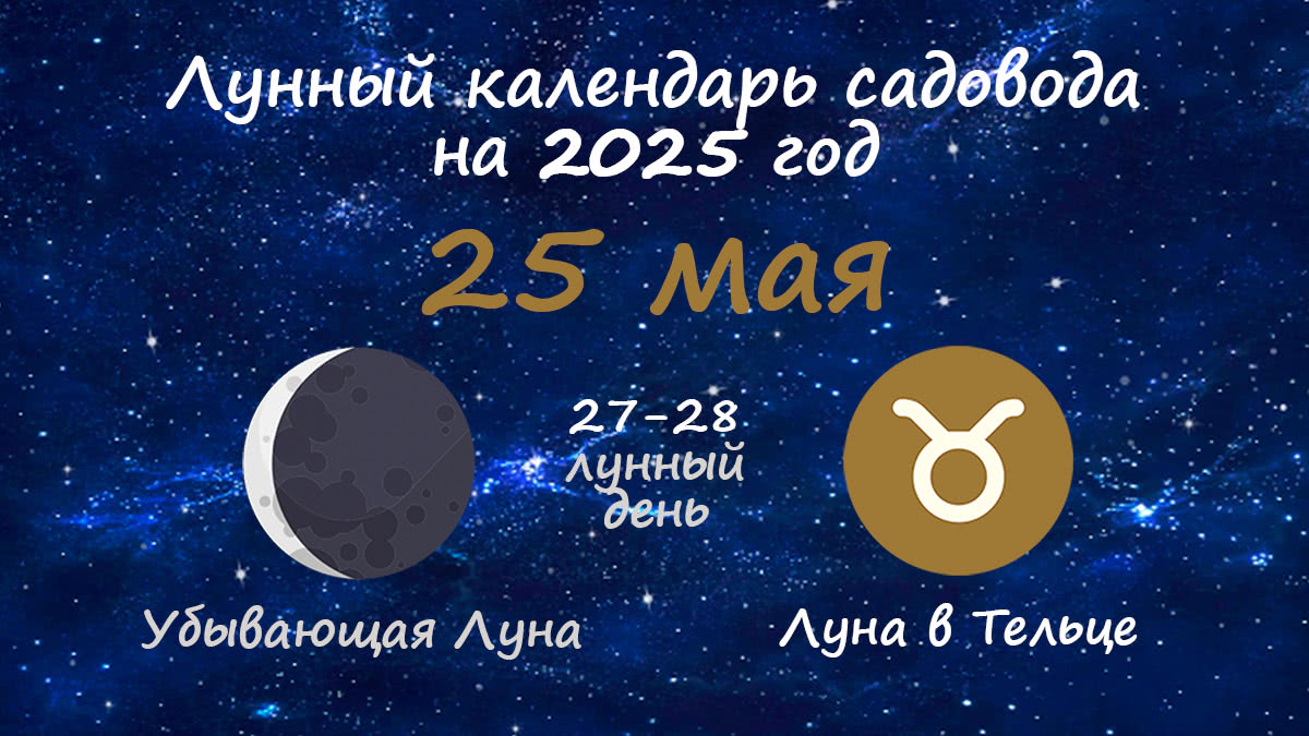 Лунный календарь садовода-огородника на 25 мая 2025 года