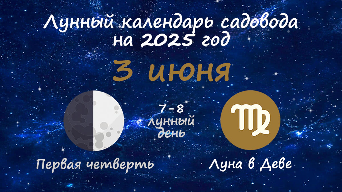 Лунный календарь садовода-огородника на 3 июня 2025 года