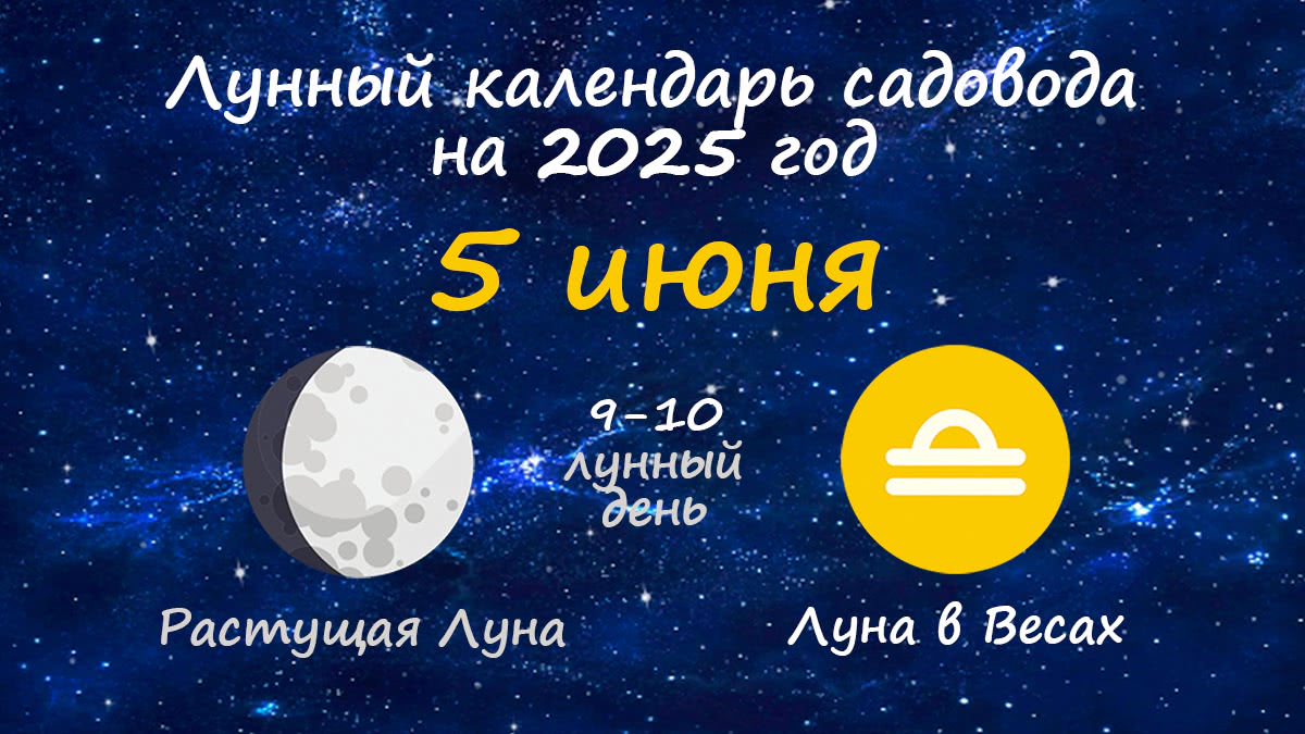Лунный календарь садовода-огородника на 5 июня 2025 года