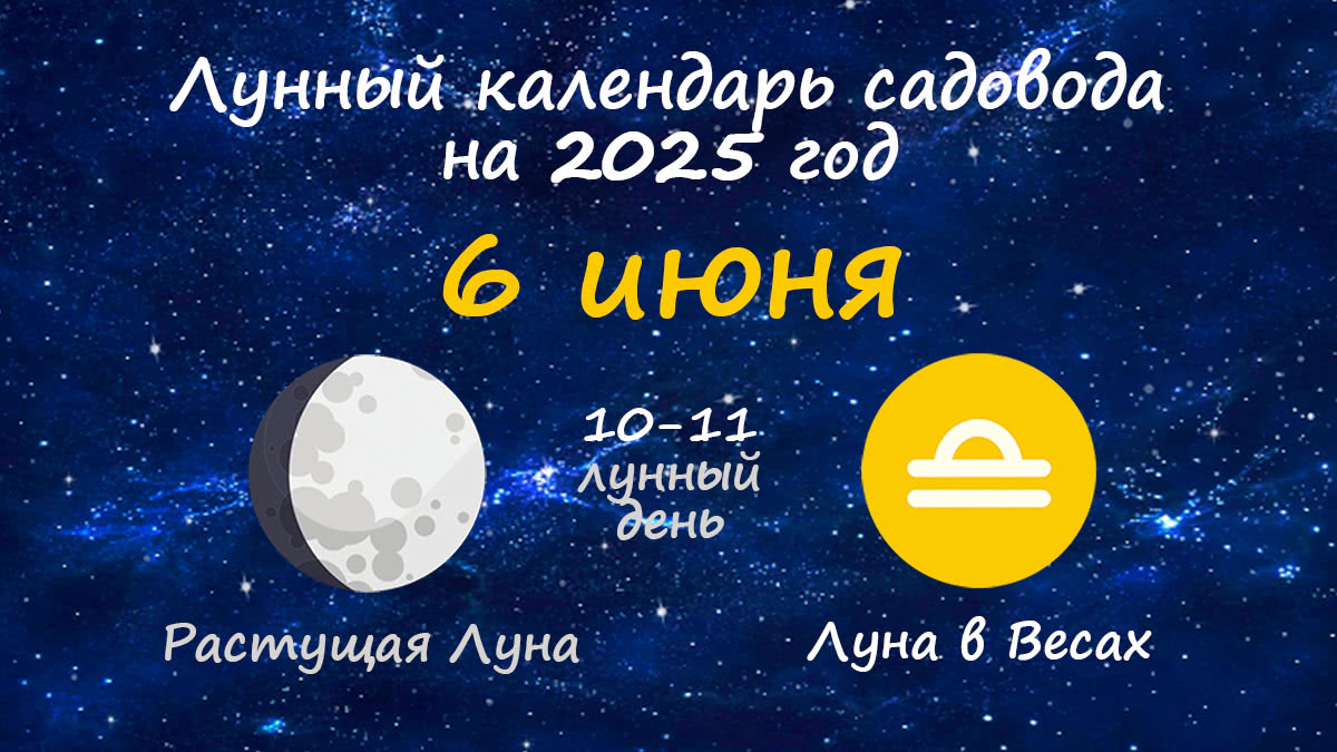 Лунный календарь садовода-огородника на 6 июня 2025 года