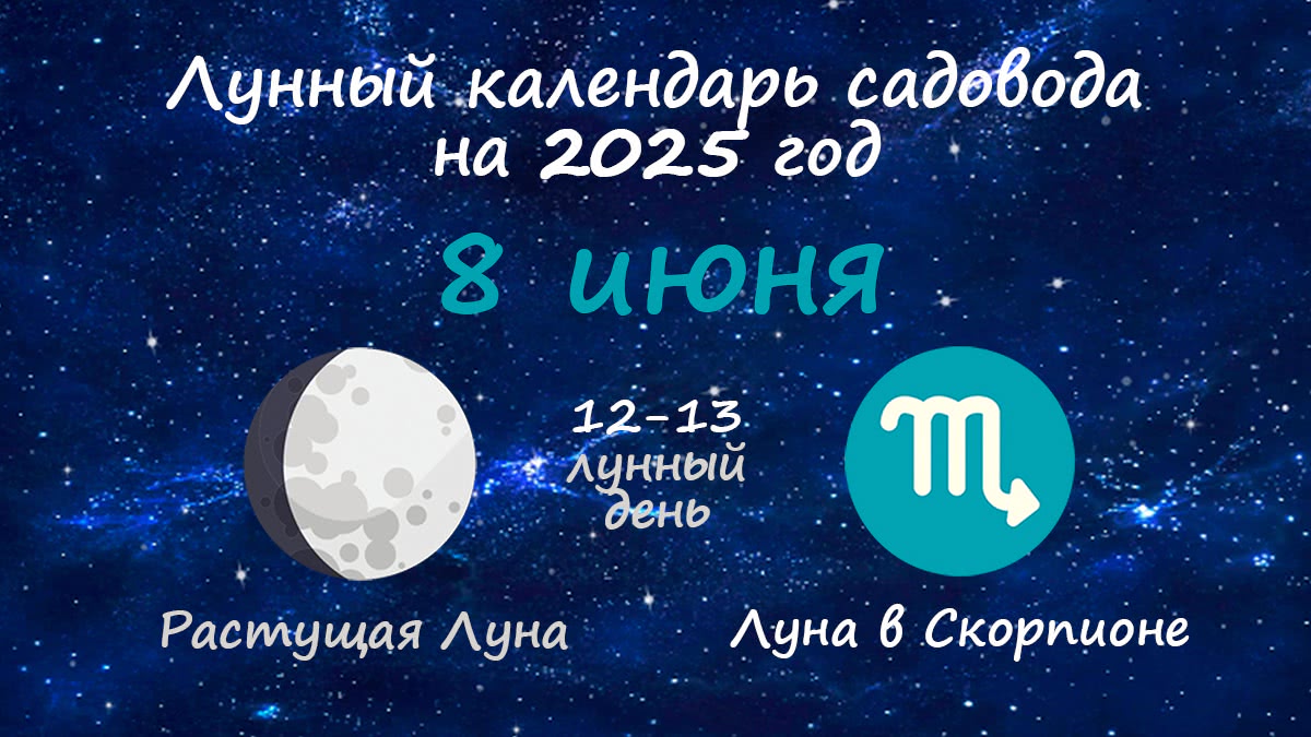 Лунный календарь садовода-огородника на 8 июня 2025 года