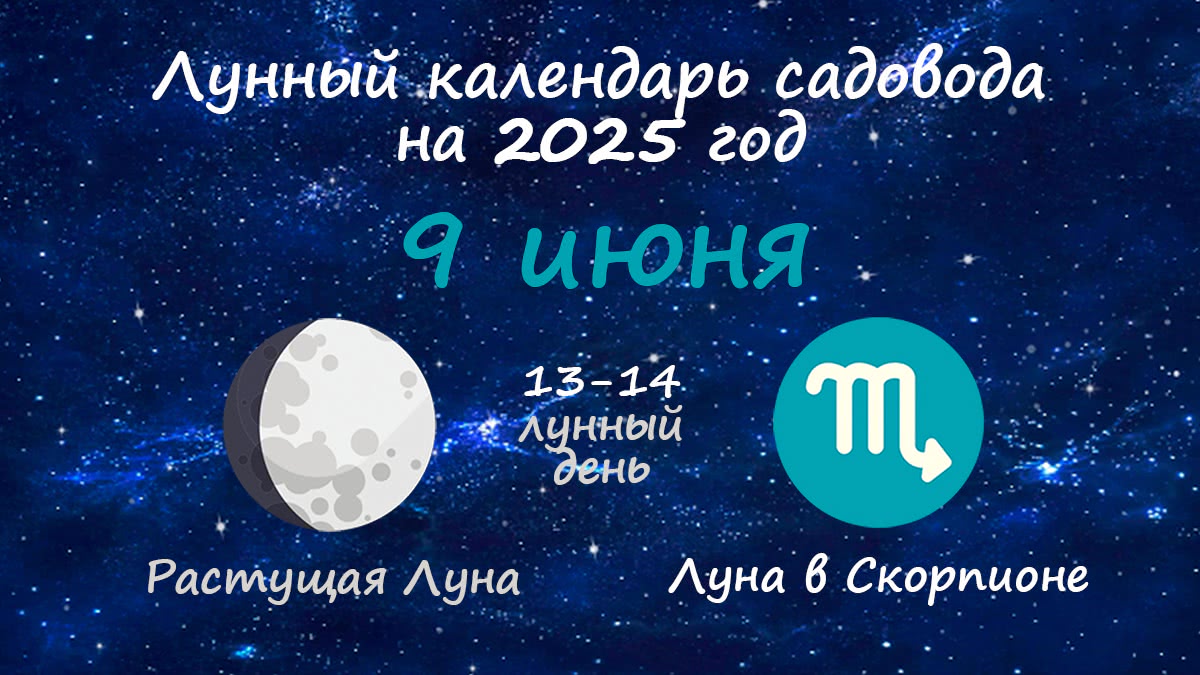 Лунный календарь садовода-огородника на 9 июня 2025 года