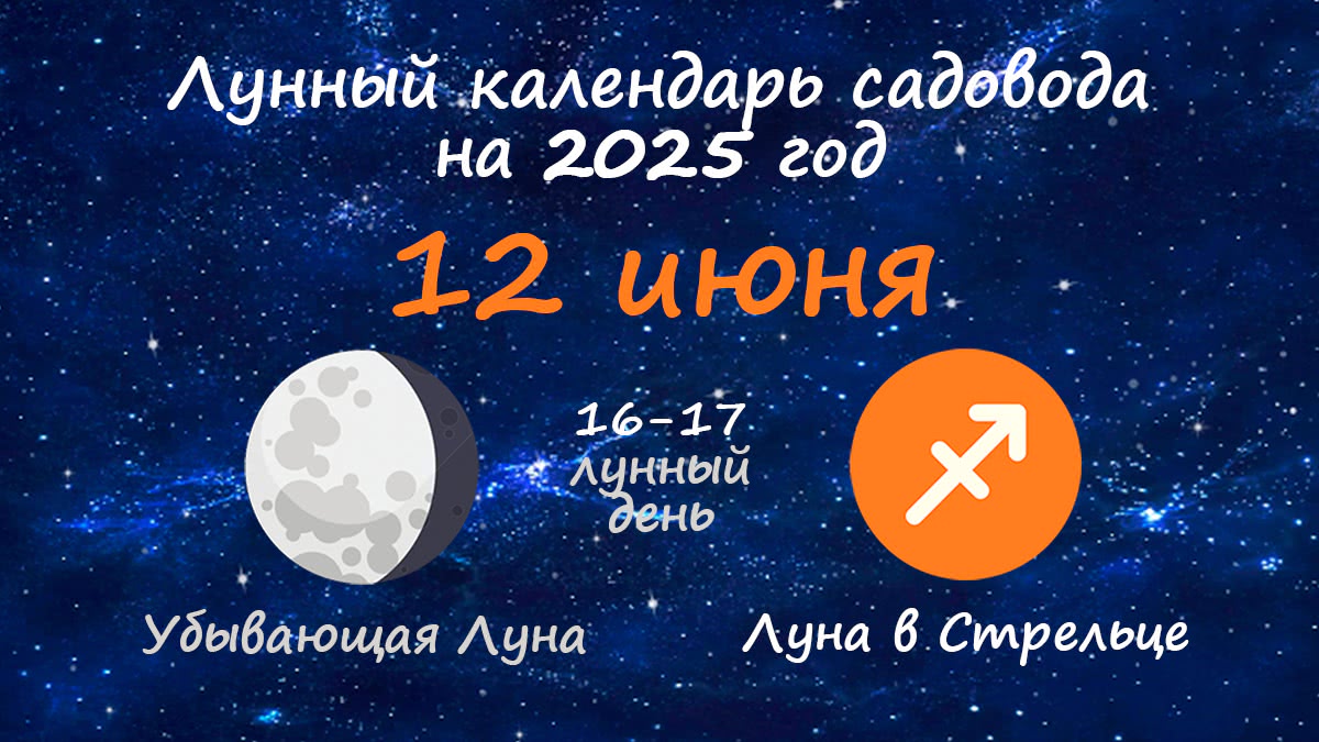 Лунный календарь садовода-огородника на 12 июня 2025 года