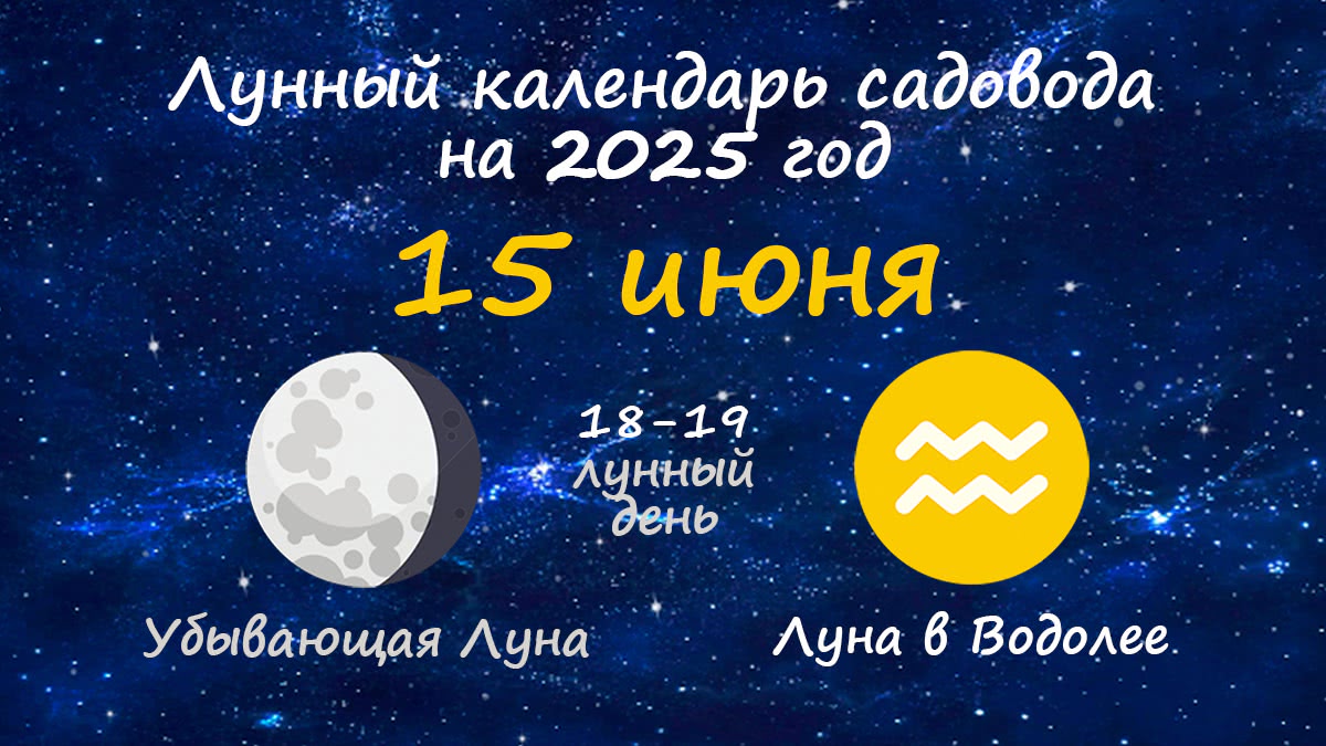 Лунный календарь садовода-огородника на 15 июня 2025 года