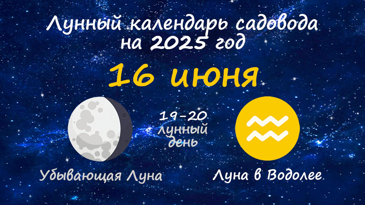 Лунный календарь садовода-огородника на 16 июня 2025 года