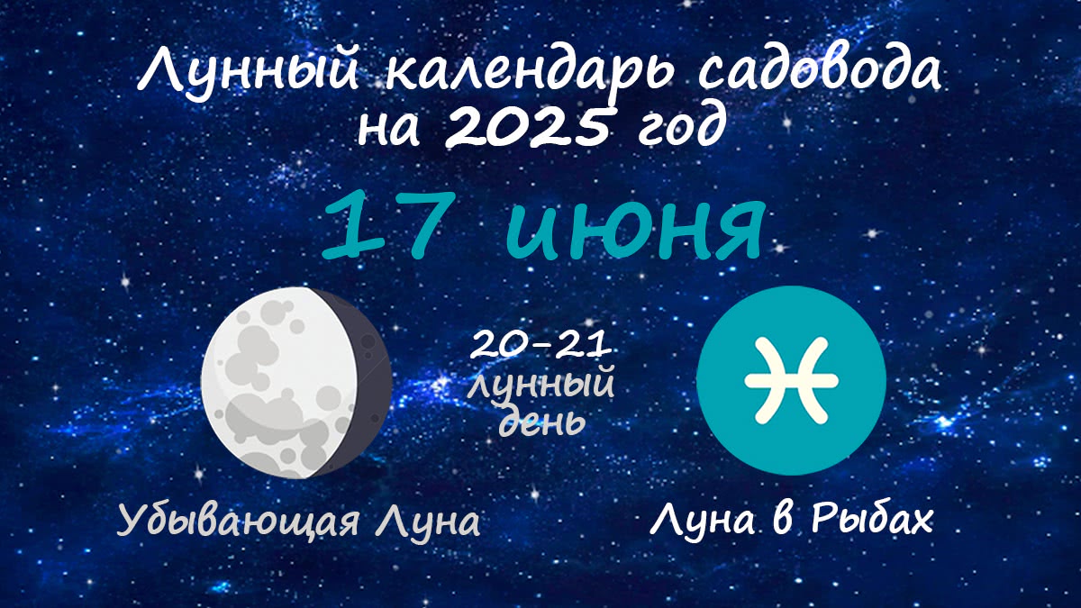 Лунный календарь садовода-огородника на 17 июня 2025 года