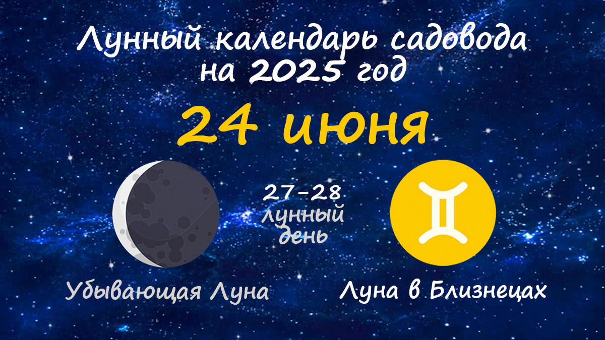 Лунный календарь садовода-огородника на 24 июня 2025 года