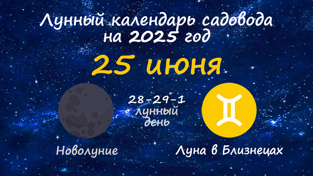 Лунный календарь садовода-огородника на 25 июня 2025 года