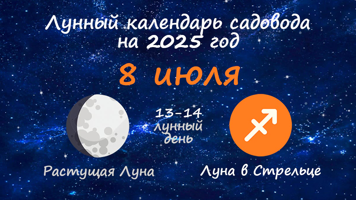 Лунный календарь садовода-огородника на 8 июля 2025 года